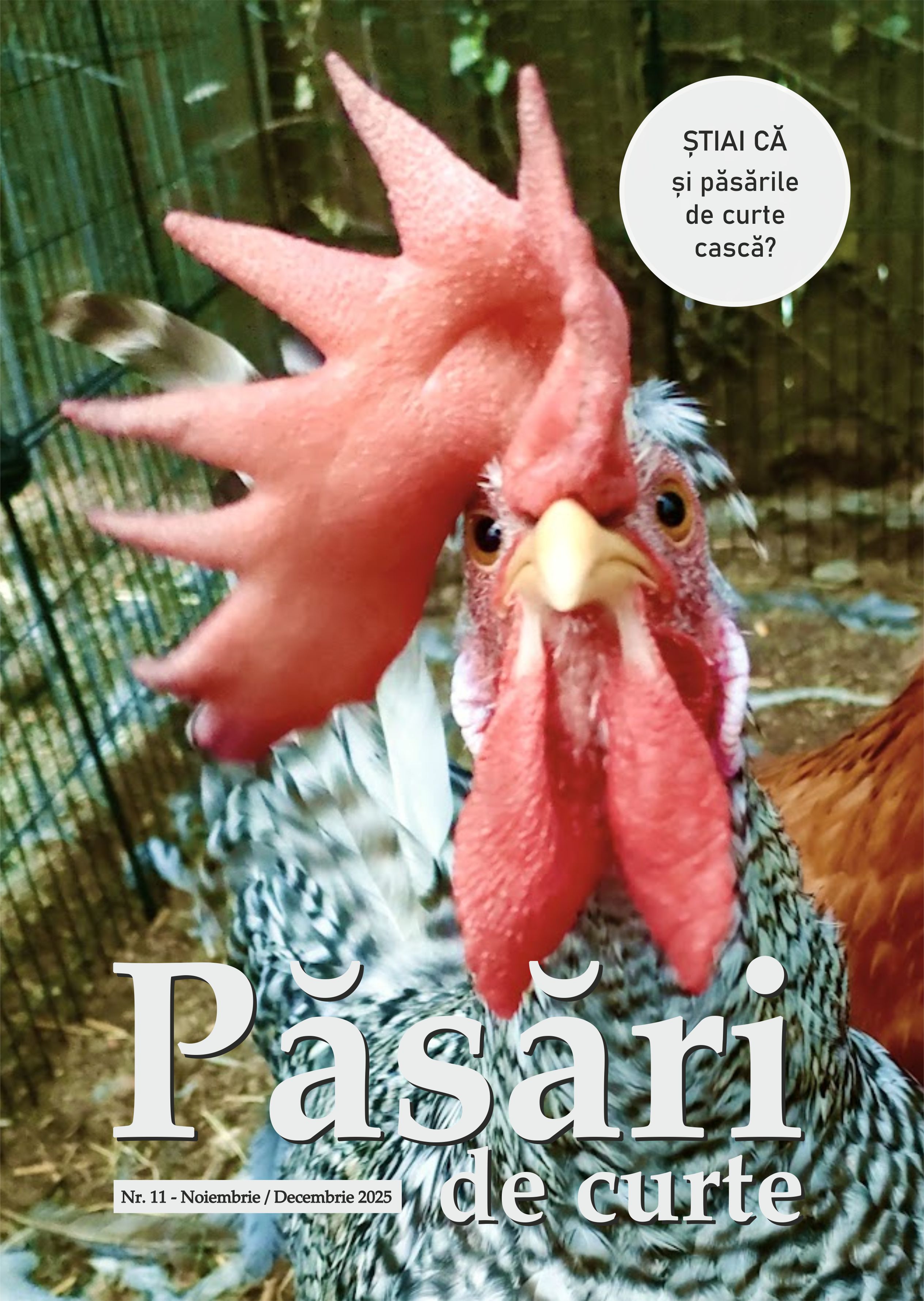 Revista Pasari De Curte Nr.11