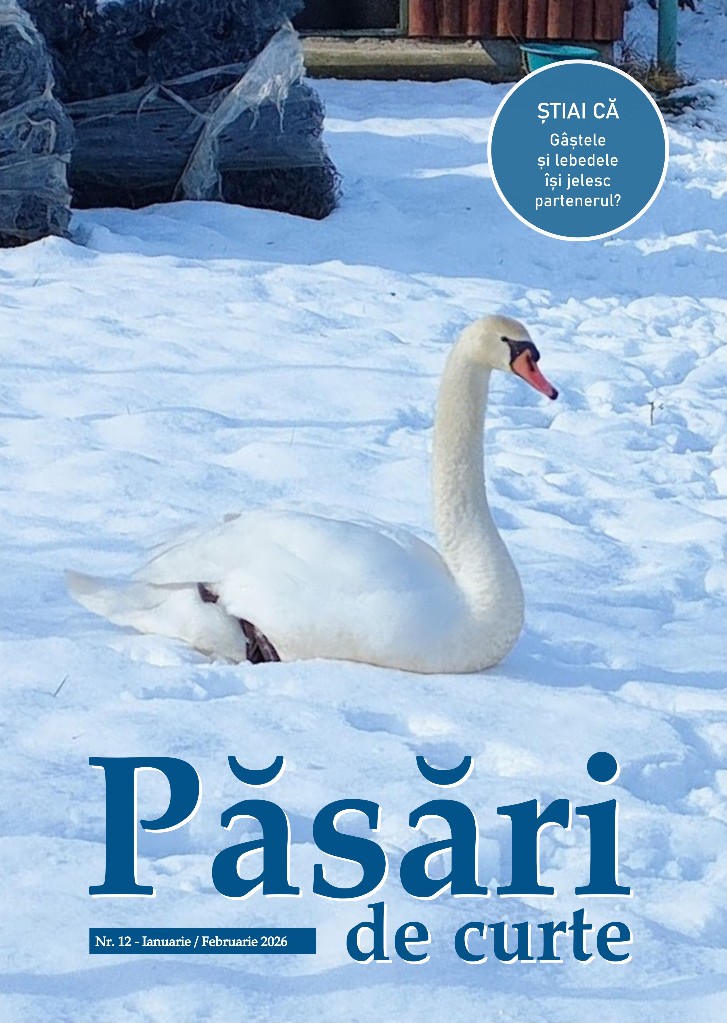 Revista Pasari De Curte Nr.12