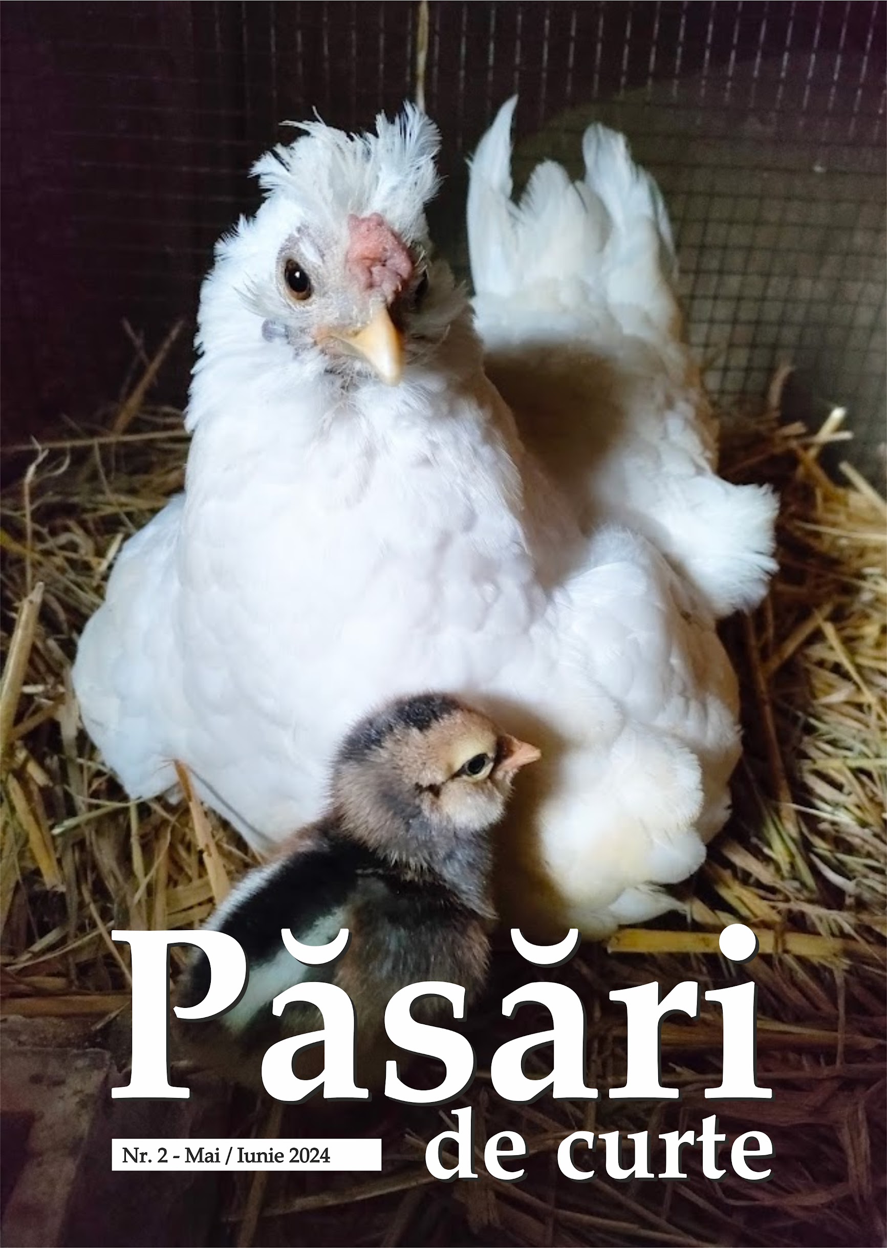 Revista Pasari De Curte Nr.2