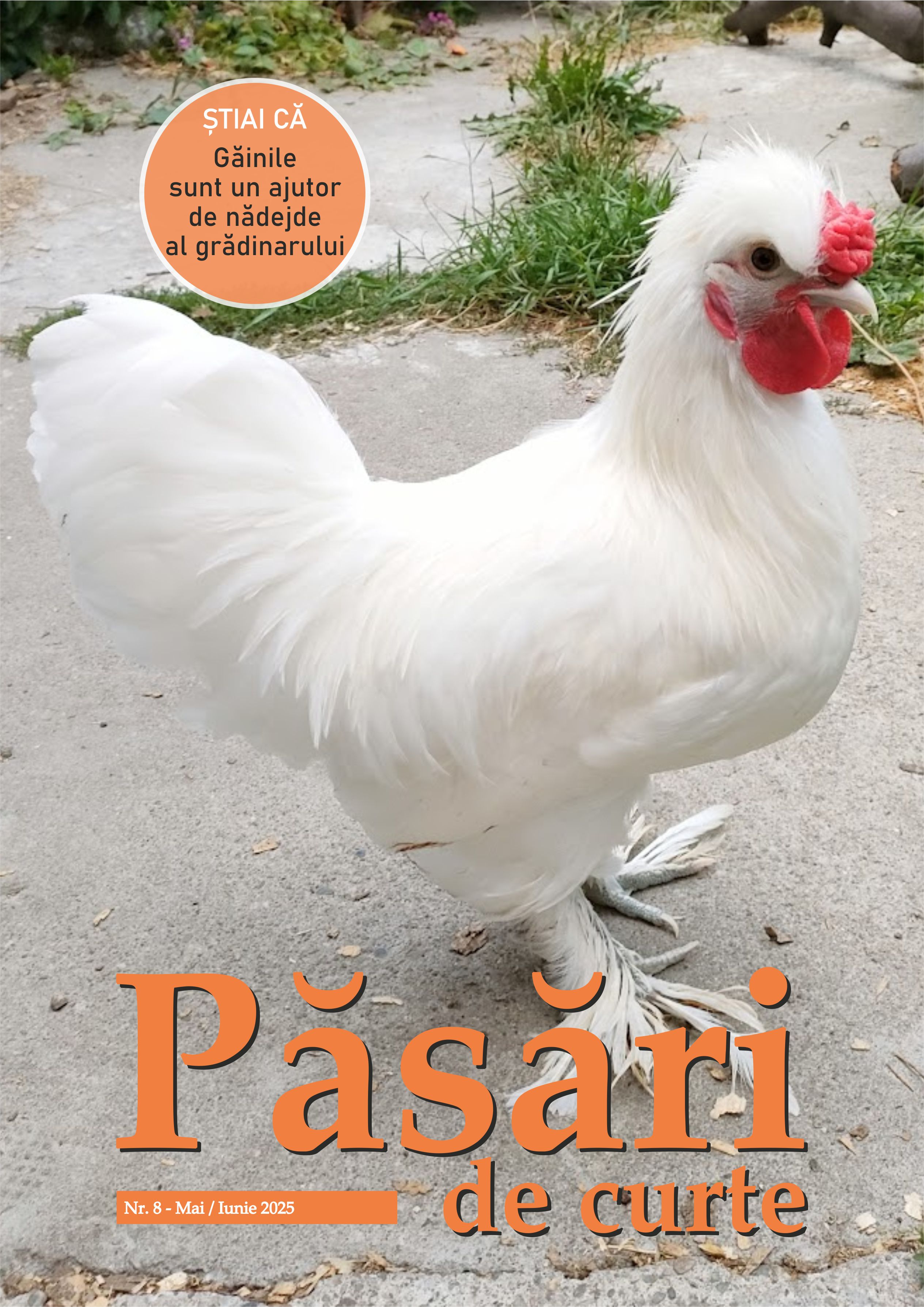 Revista Pasari De Curte Nr.8
